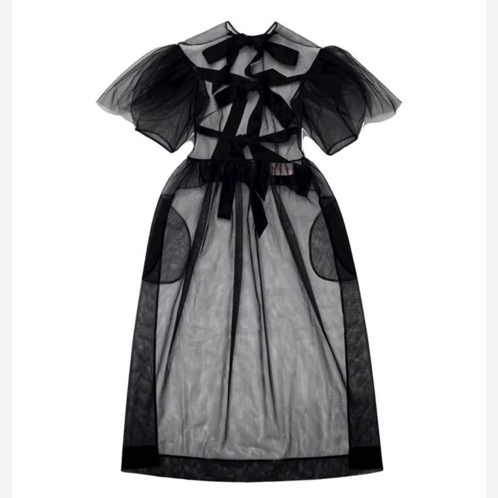 Elegant Black Sheer Dress